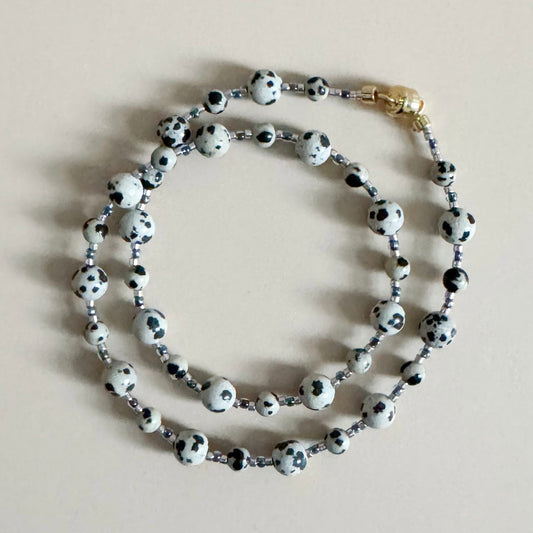 101 Dalmatian Jasper